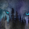 Wolf in the night av.jpg